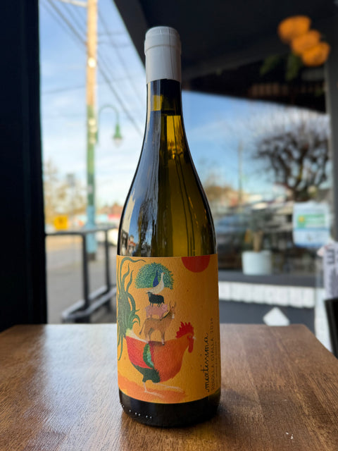 Ribolla Gialla (2024)