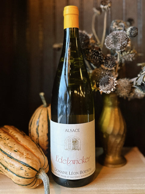 Turkey Day 4-Packs (2025)